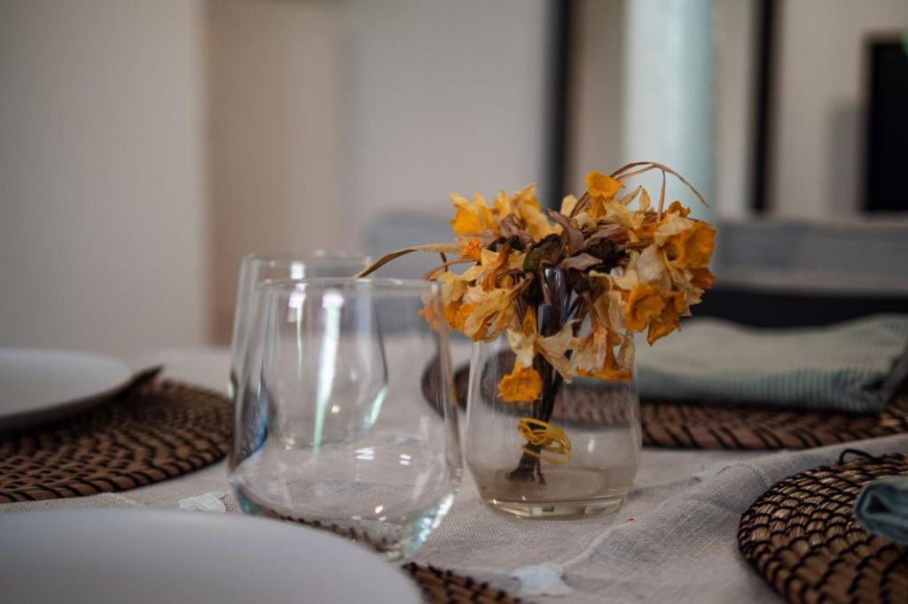 Appartement Schlofa エックボルスハイム エクステリア 写真